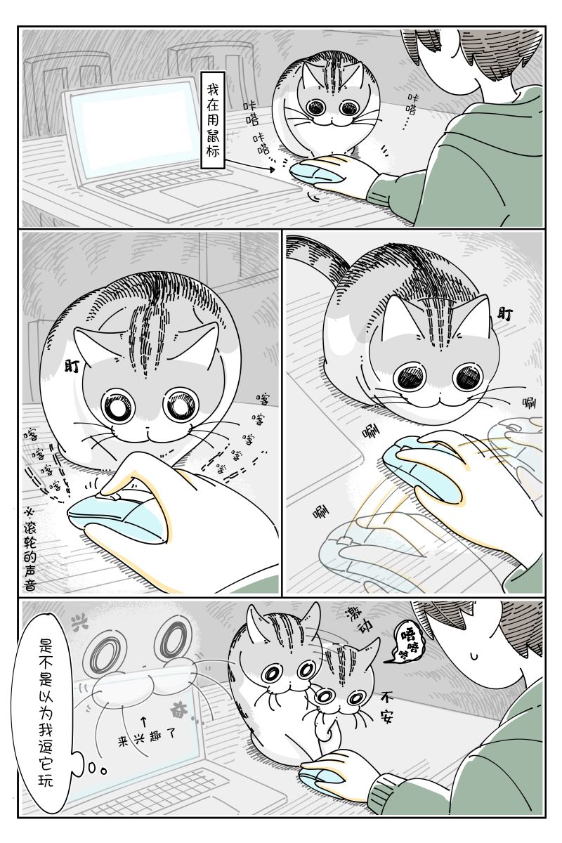 1.jpg
