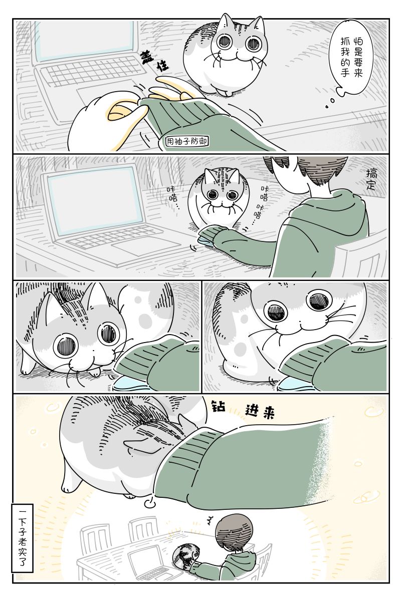 2.jpg