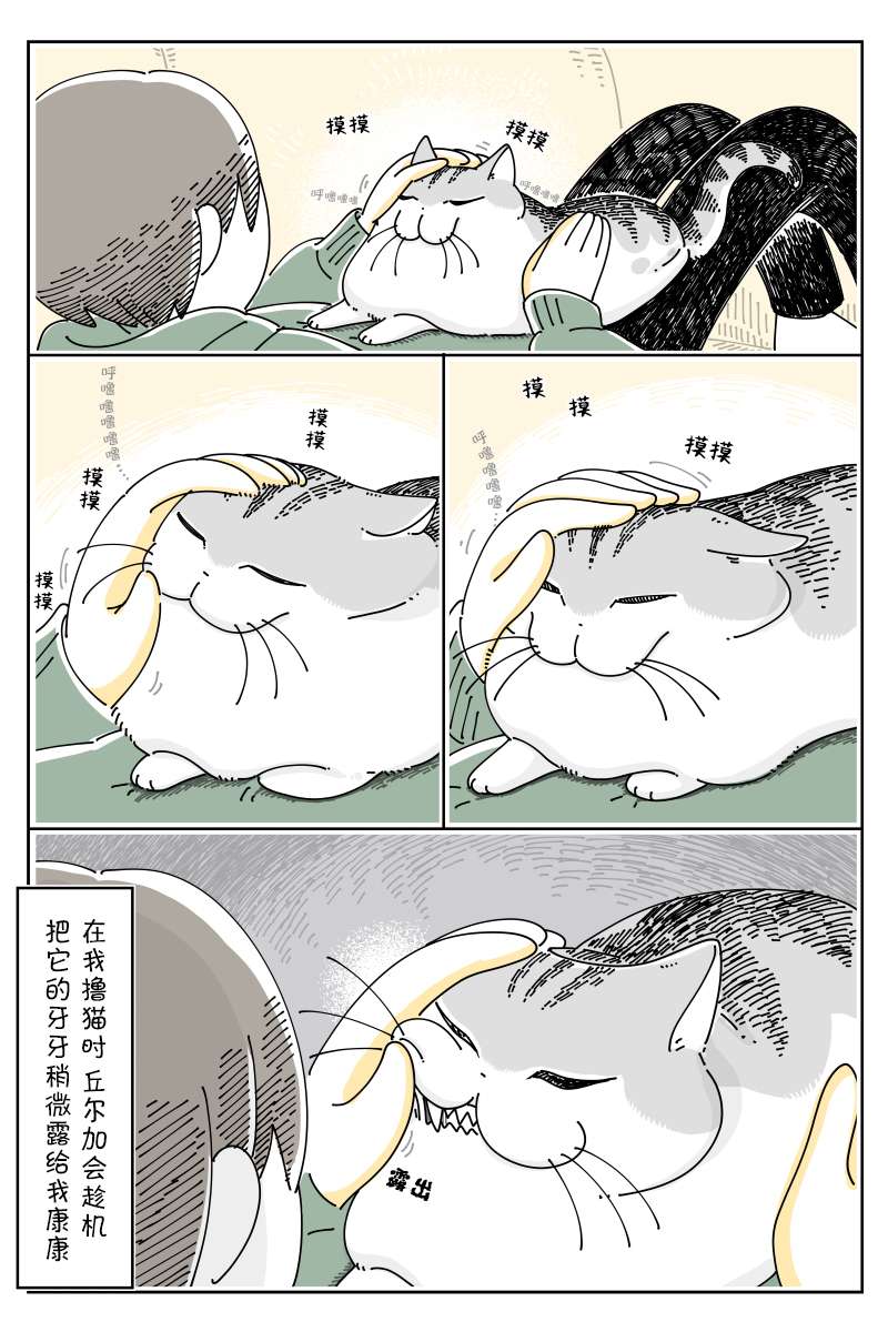2.jpg
