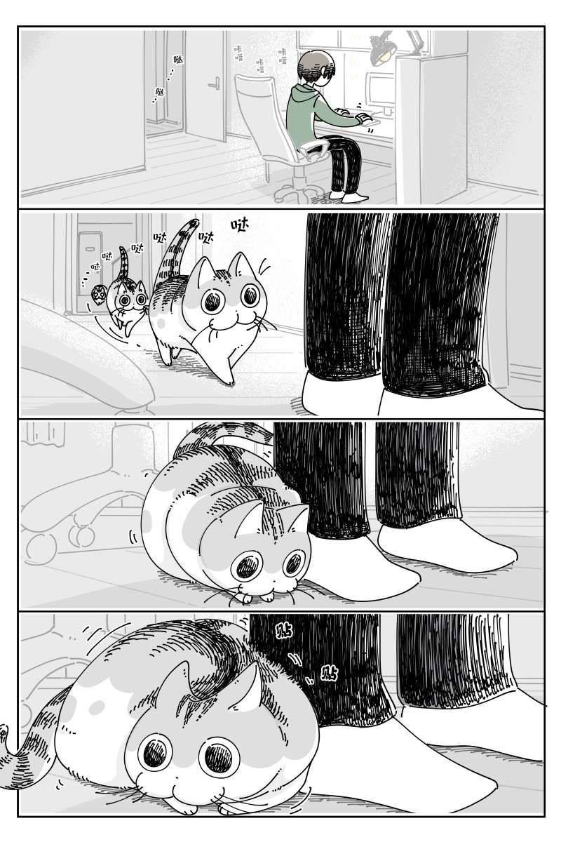 1.jpg
