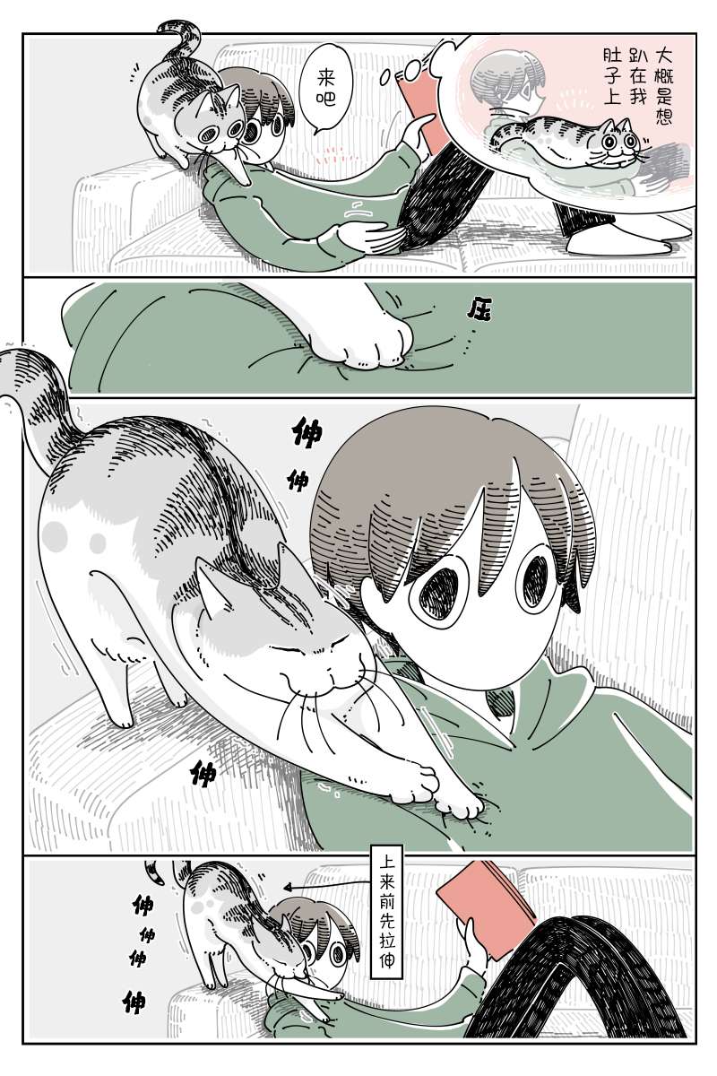 2.jpg
