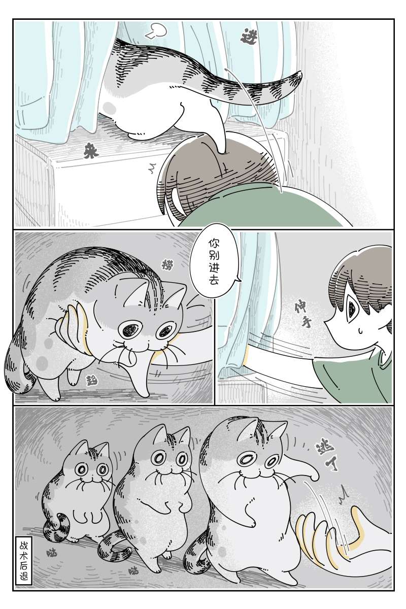 3.jpg