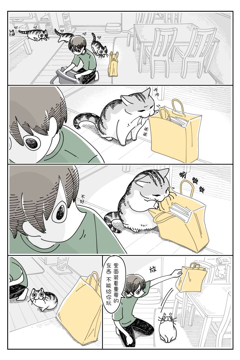 1.jpg