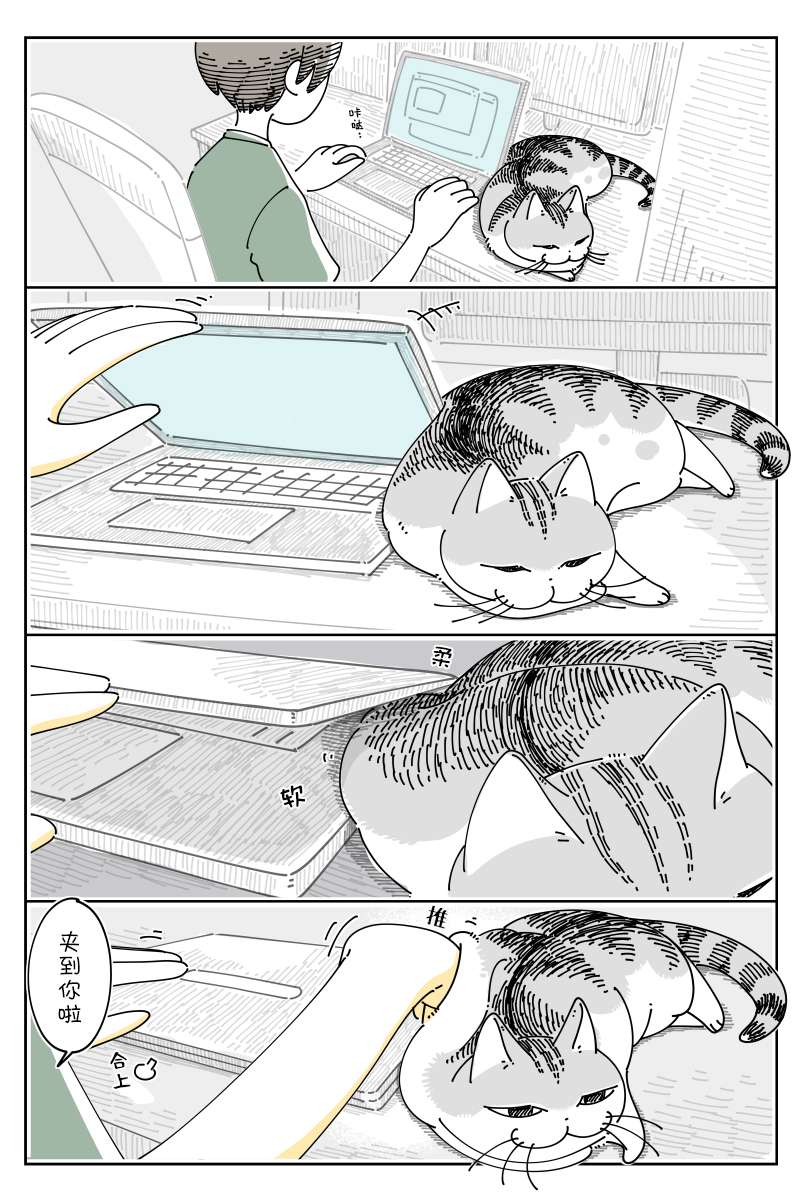 1.jpg