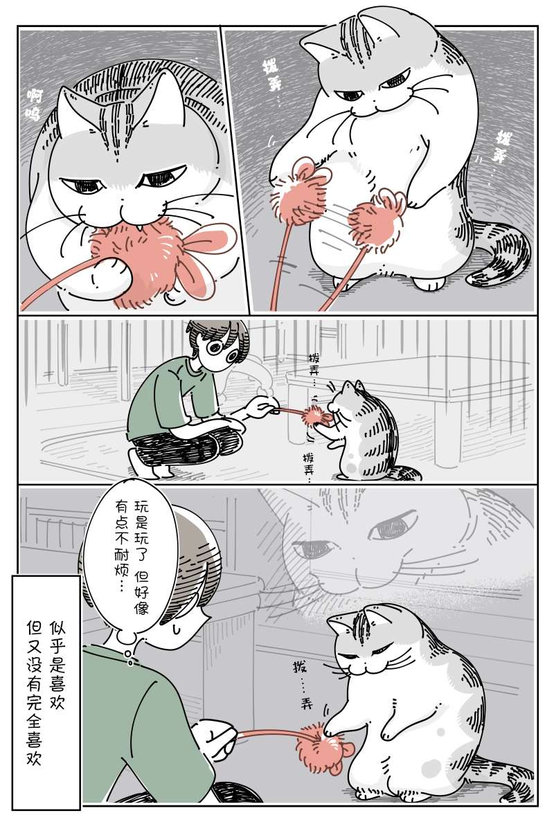 3.jpg
