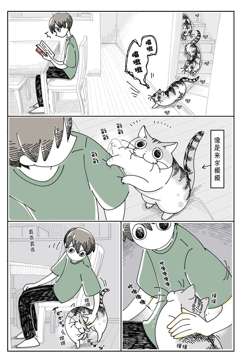 1.jpg