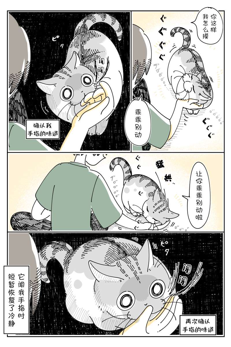 2.jpg