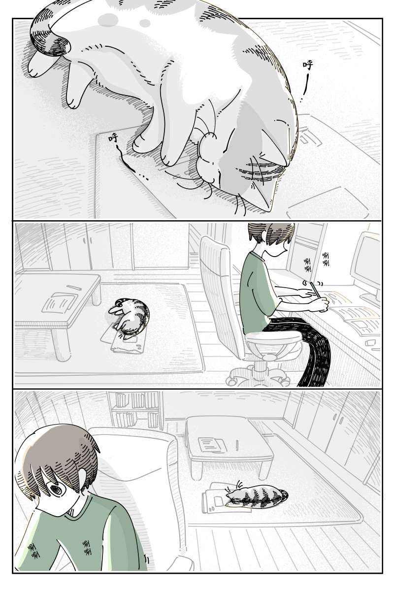 1.jpg