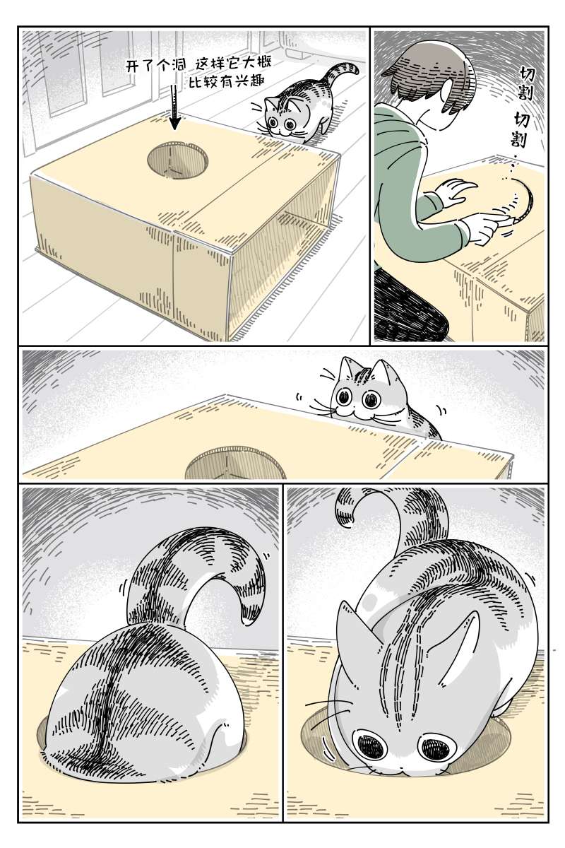 2.jpg