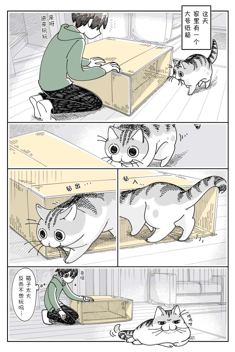 1.jpg