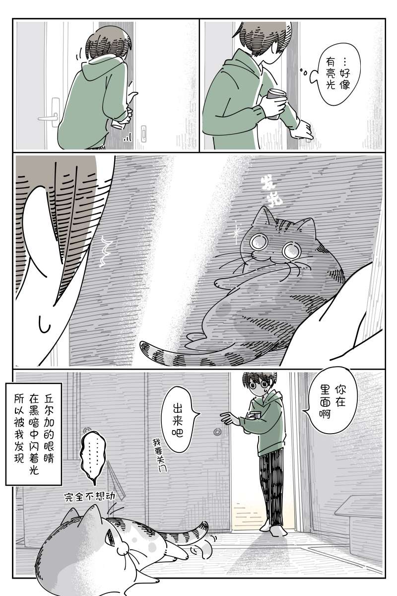 3.jpg