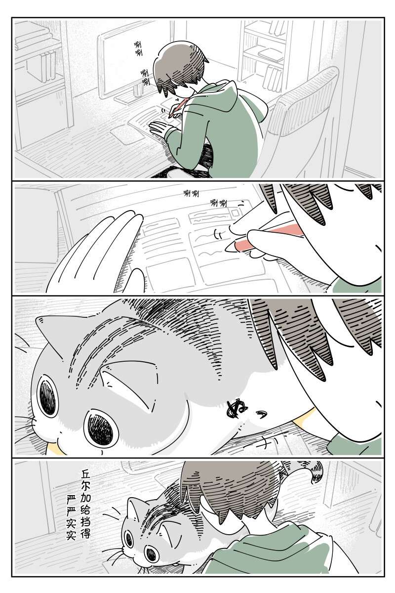 1.jpg