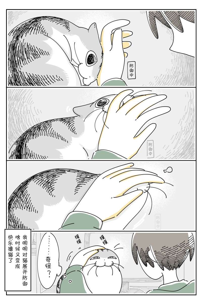 4.jpg