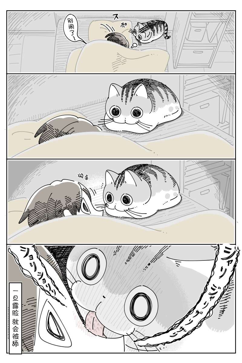 2.jpg