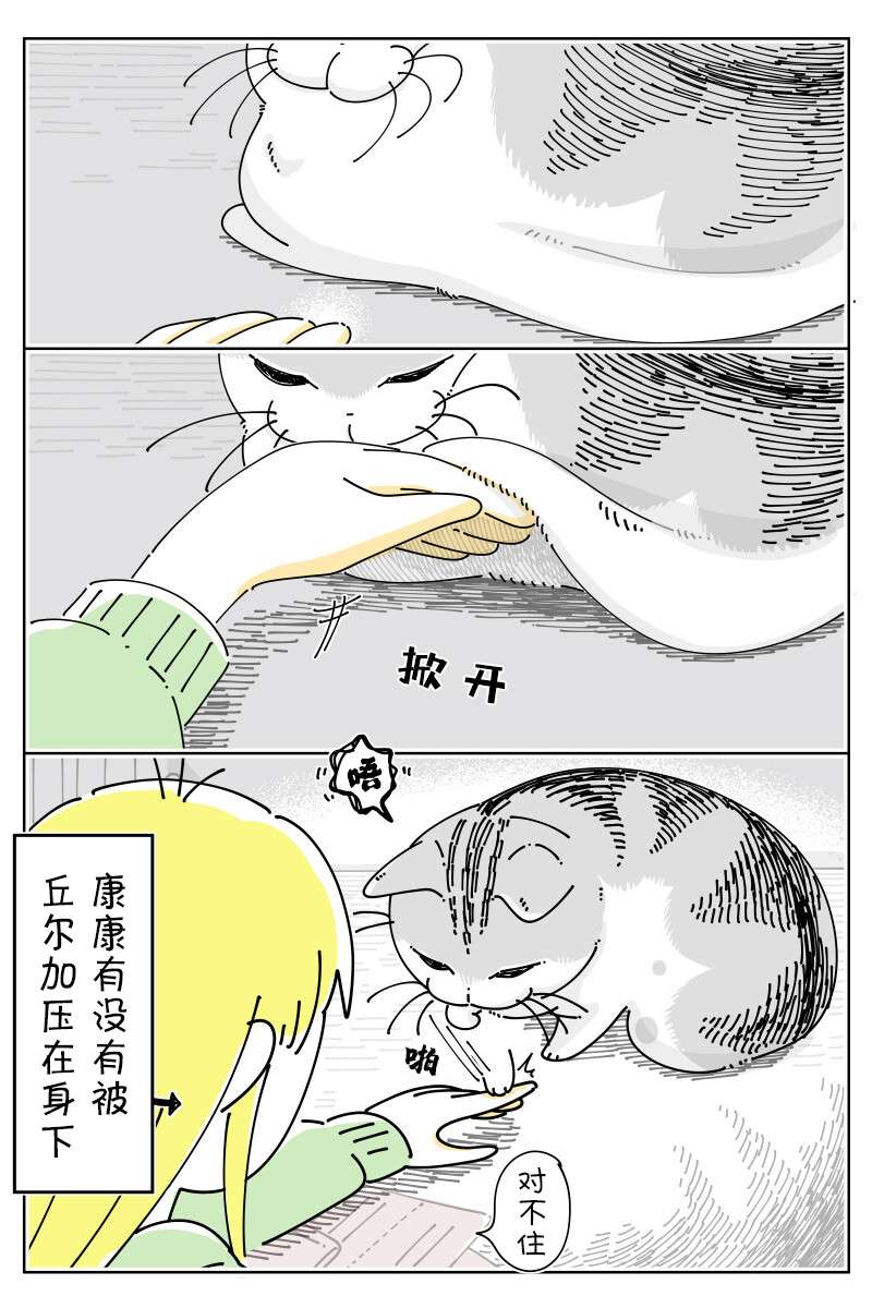 2.jpg
