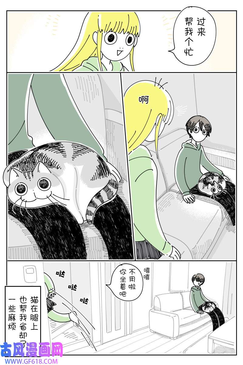 3.jpg