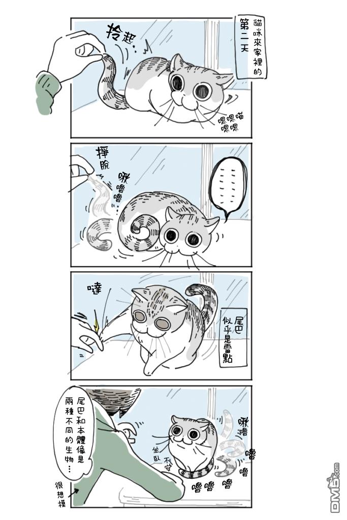 3.jpg