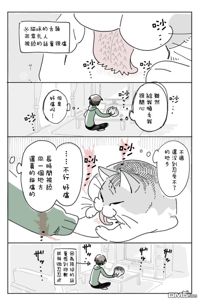 3.jpg