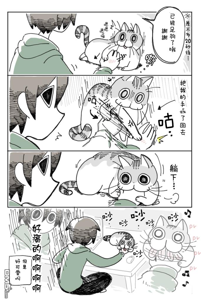 6.jpg