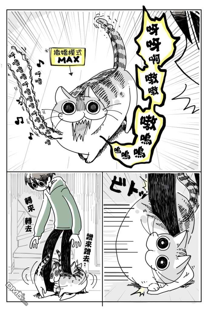 2.jpg
