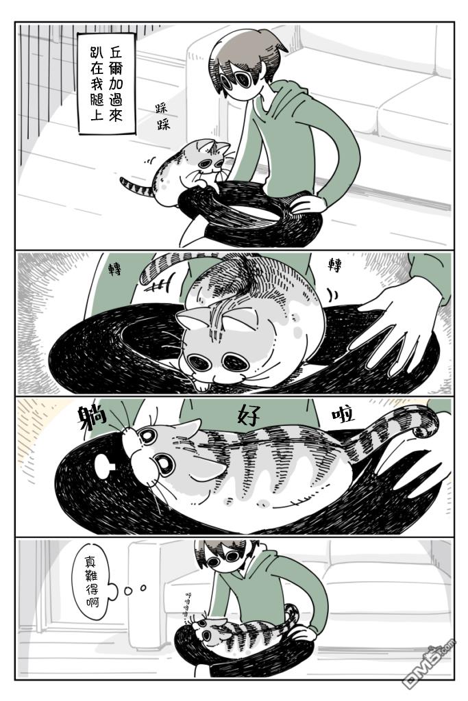 1.jpg