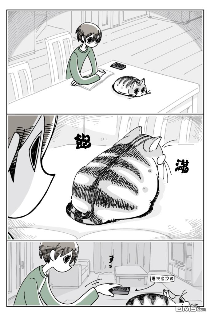 1.jpg