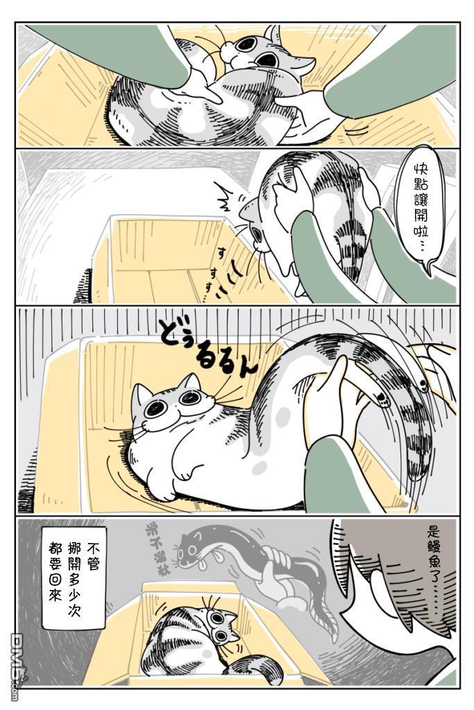 4.jpg
