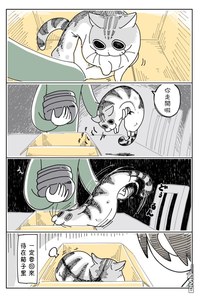 3.jpg