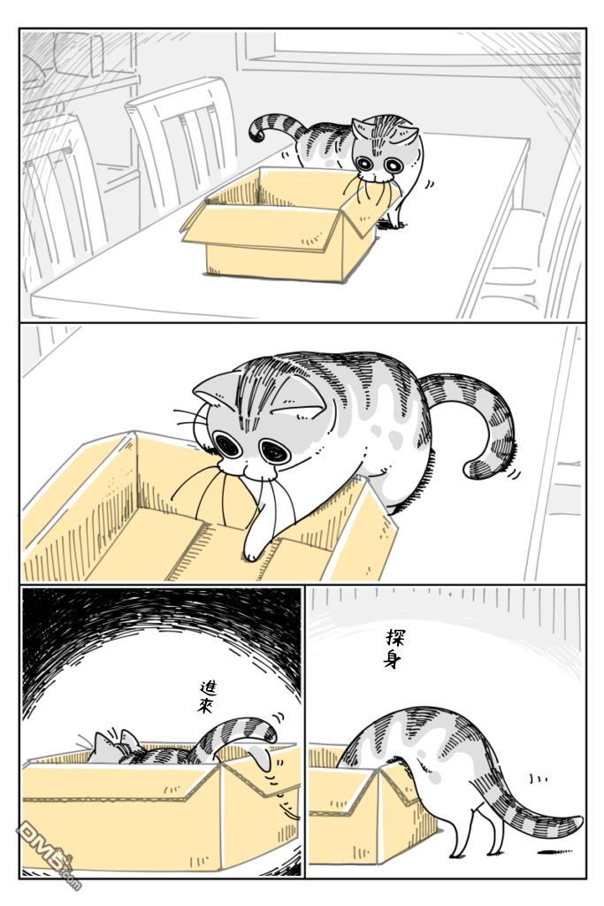 1.jpg