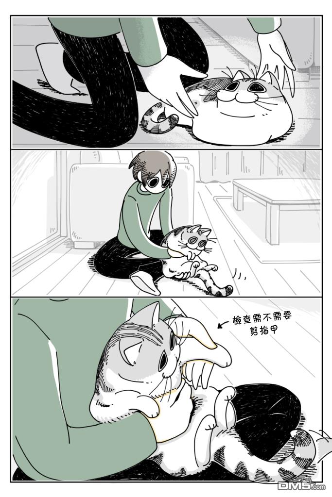 1.jpg