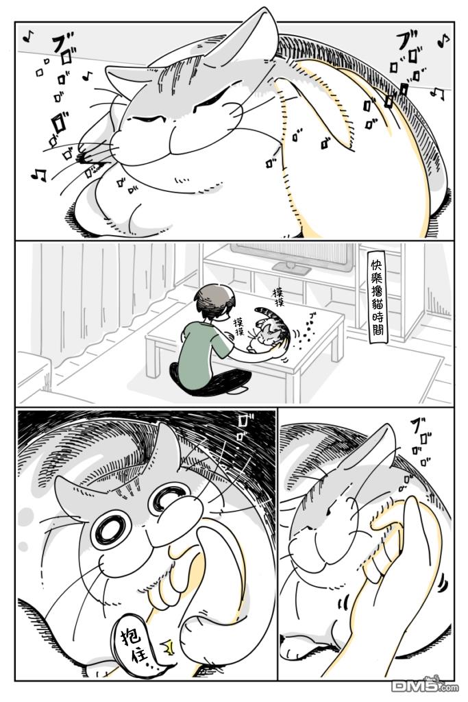 1.jpg