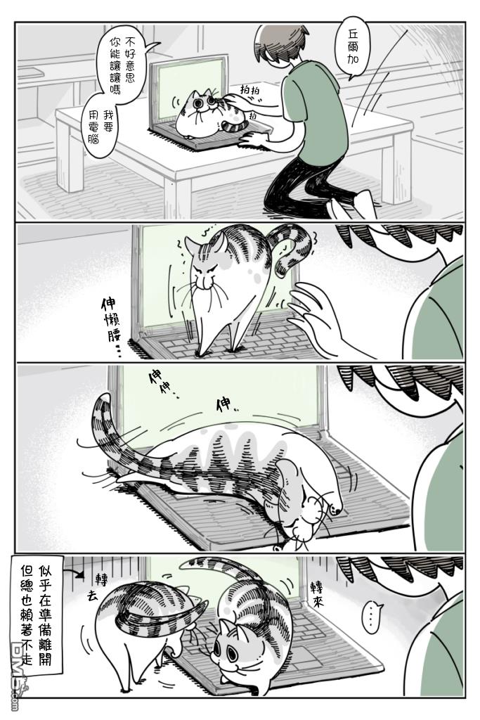 2.jpg