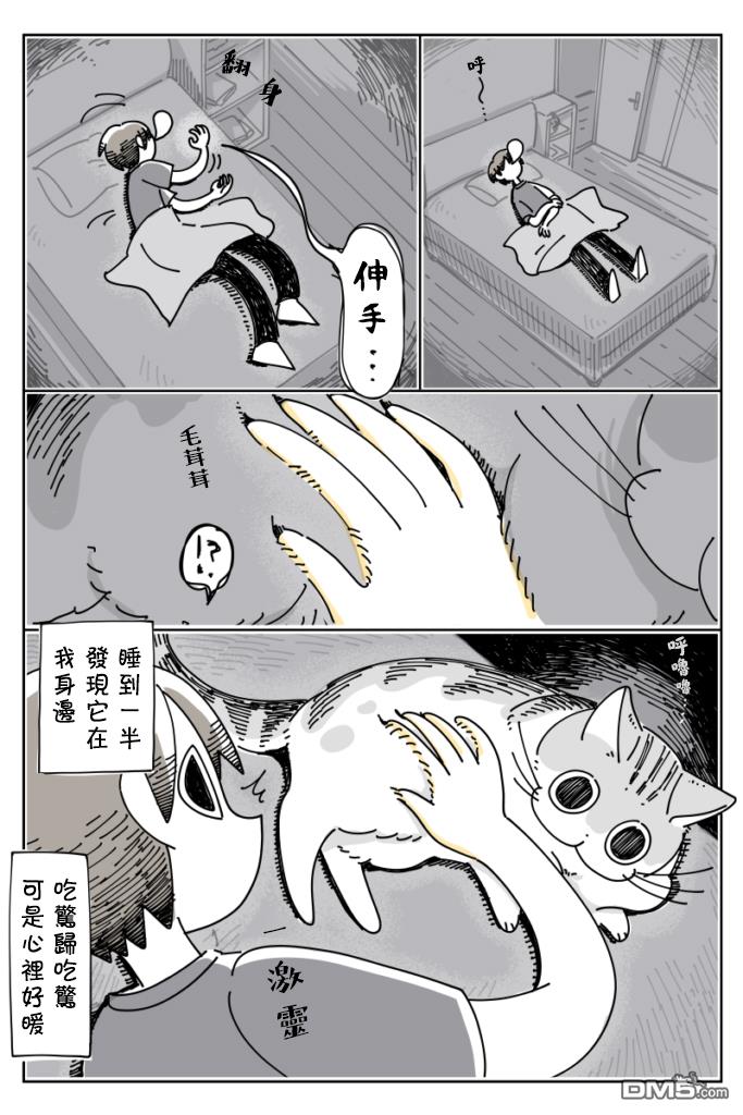3.jpg
