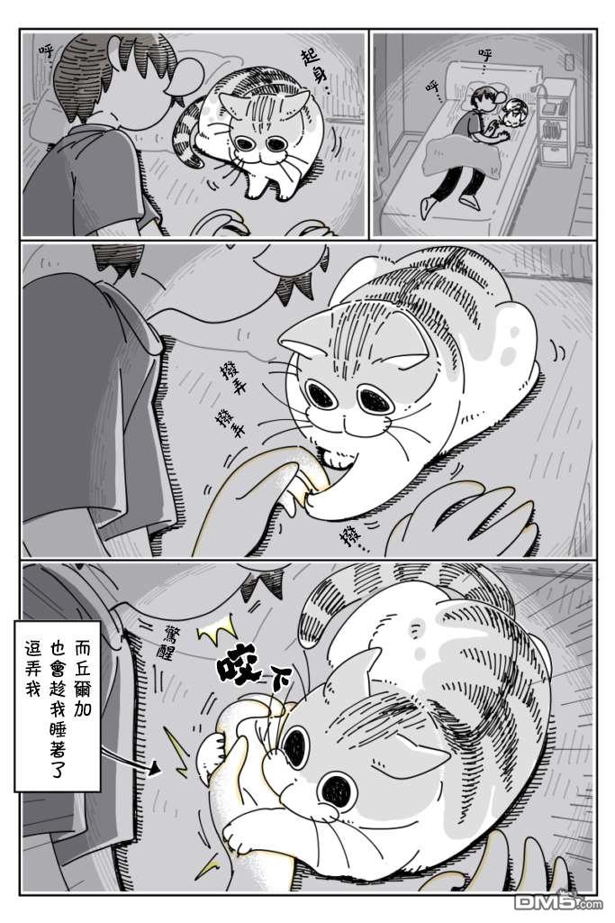 3.jpg