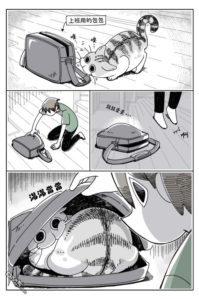 1.jpg