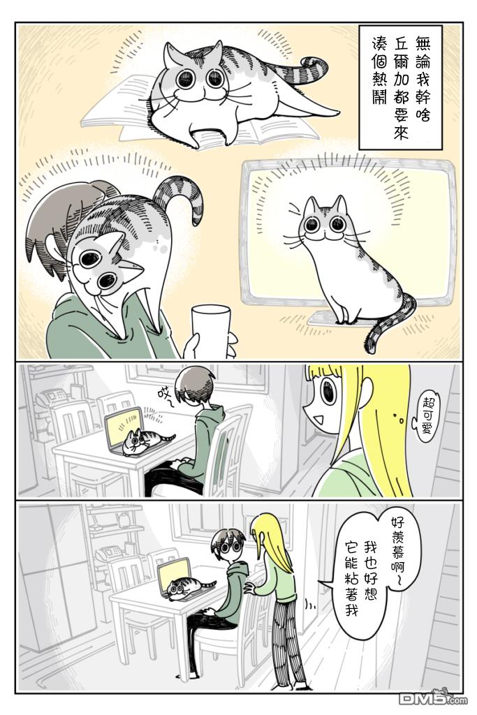 1.jpg