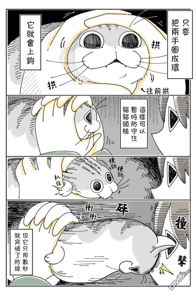 3.jpg