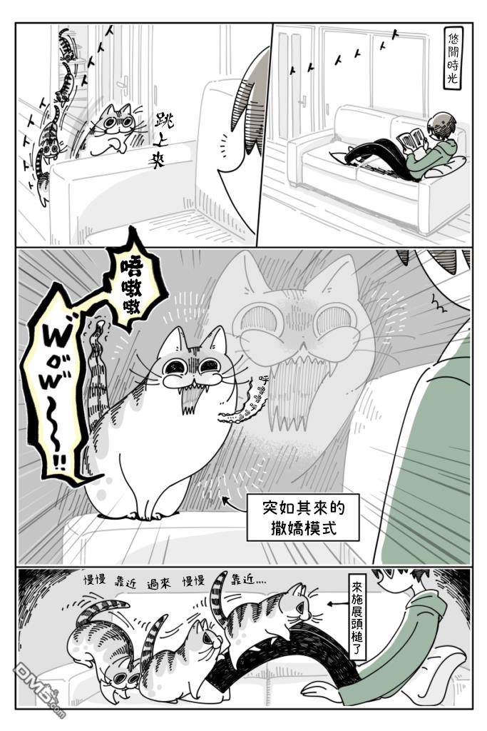 1.jpg