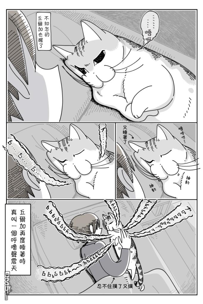 3.jpg