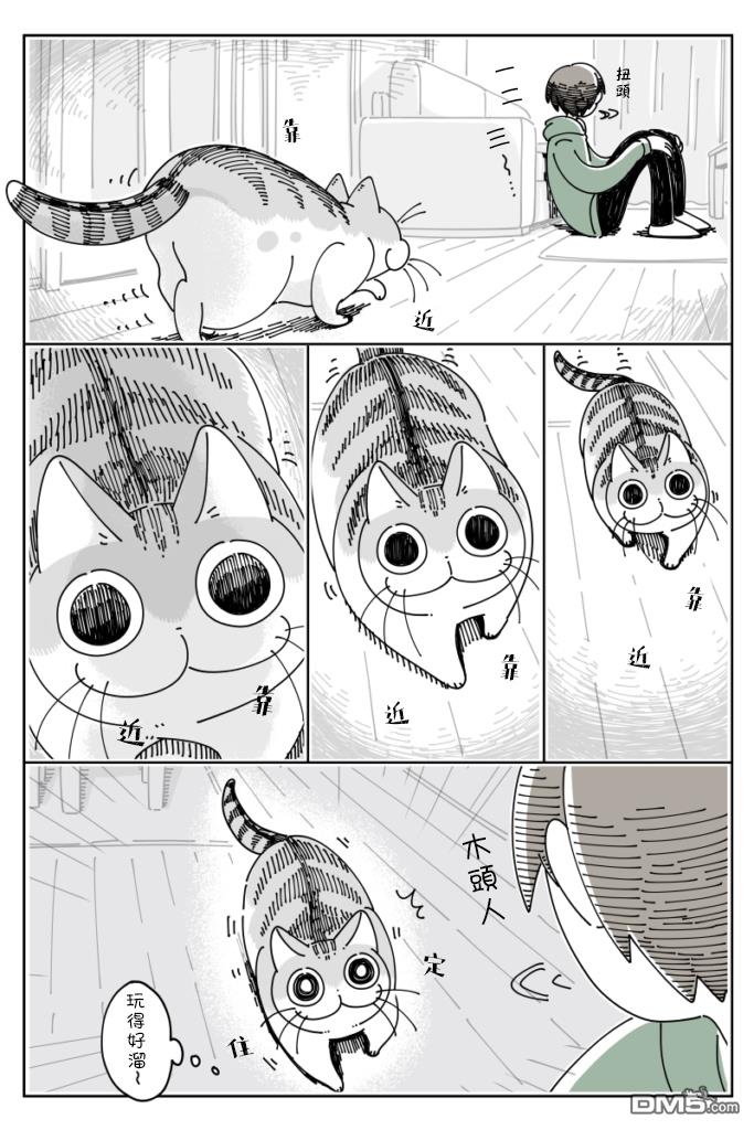 3.jpg