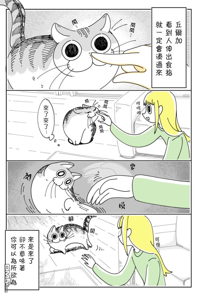 3.jpg