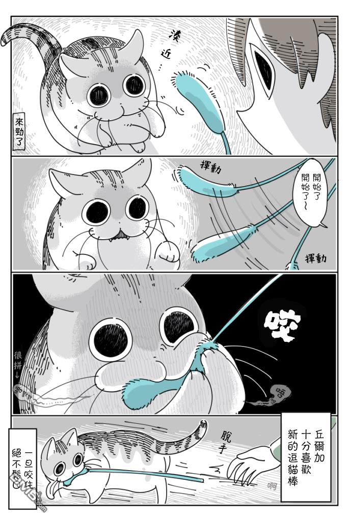 2.jpg