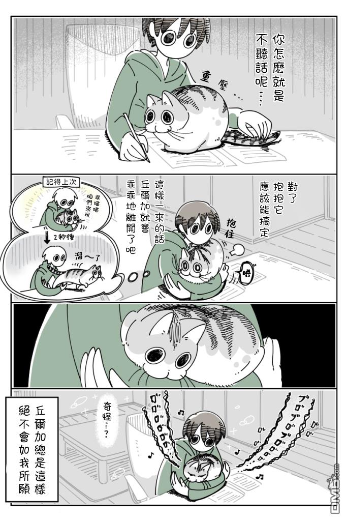 3.jpg