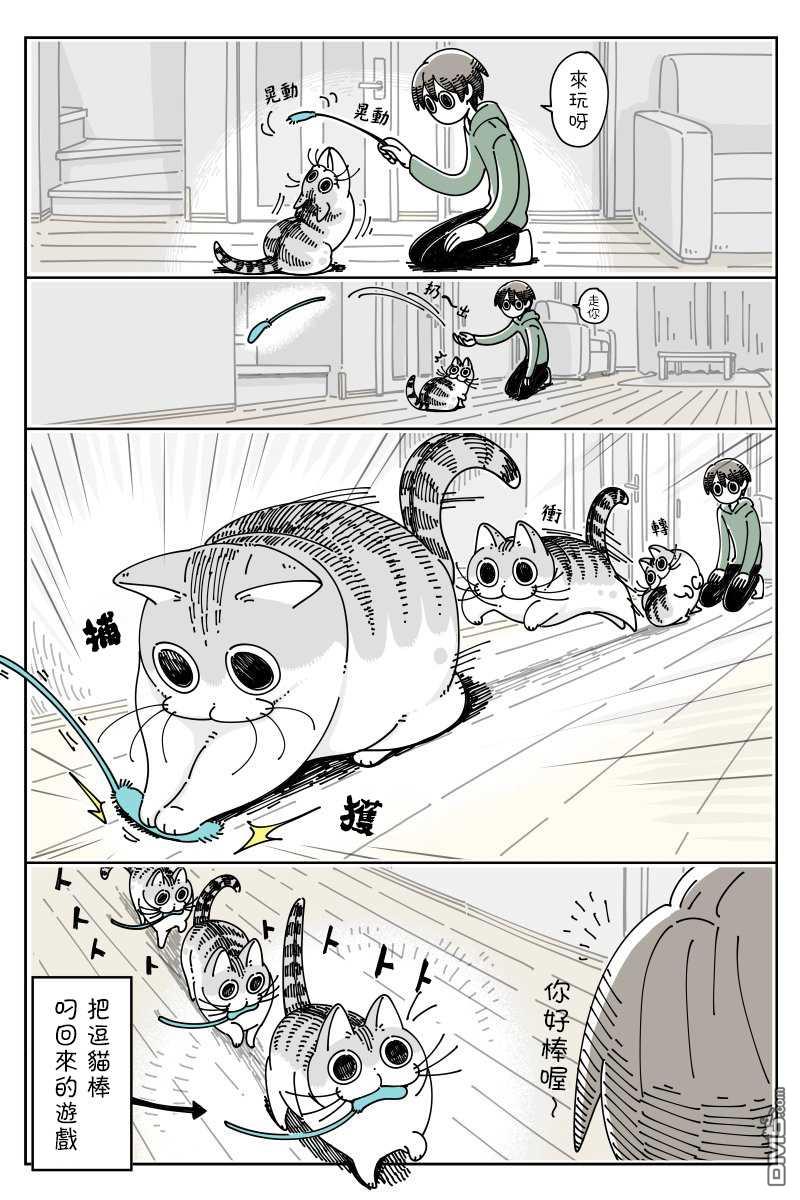 1.jpg