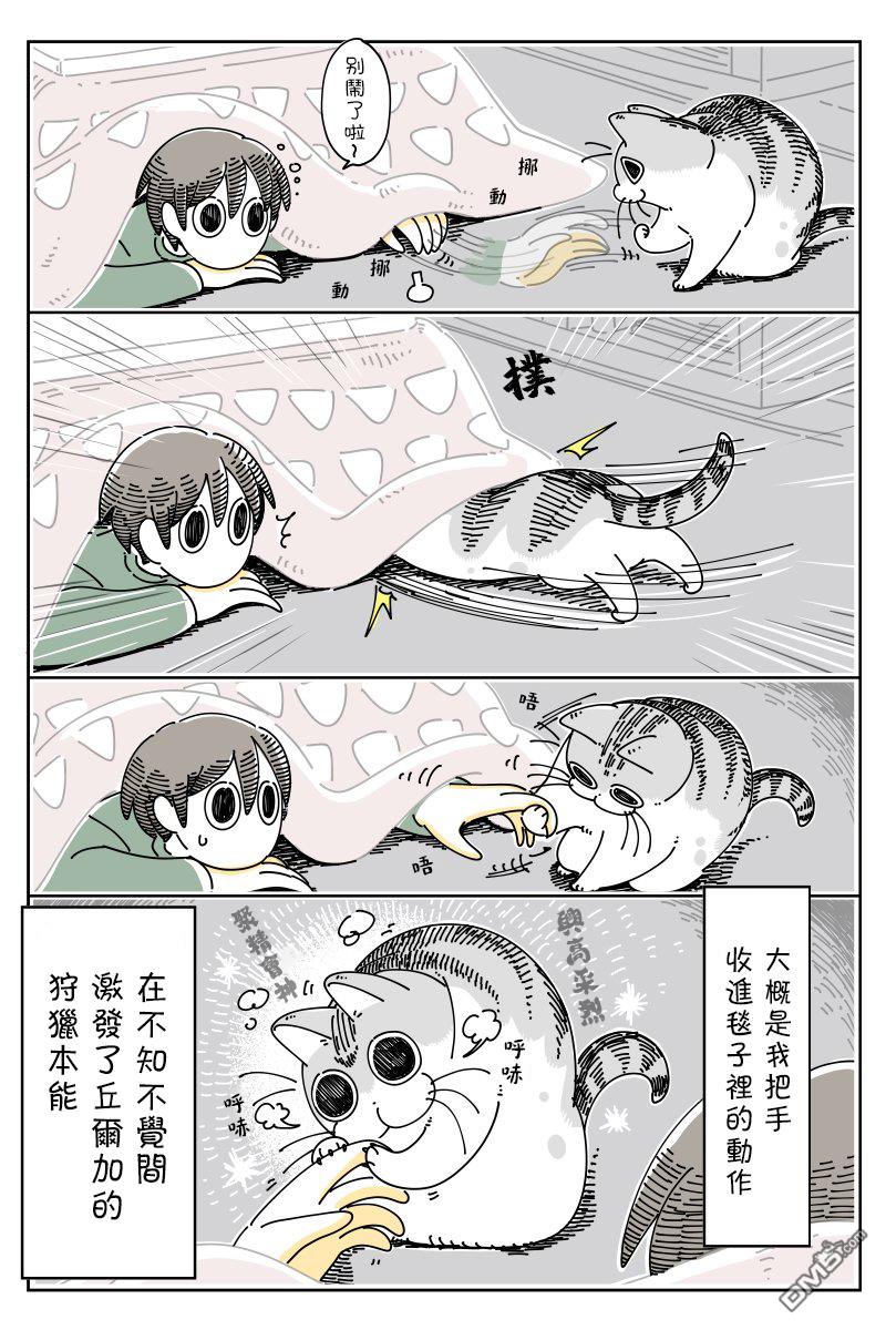 3.jpg