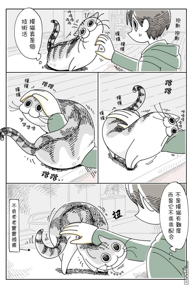 3.jpg