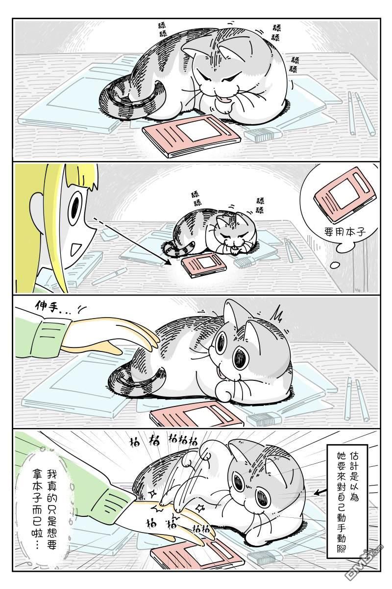 1.jpg