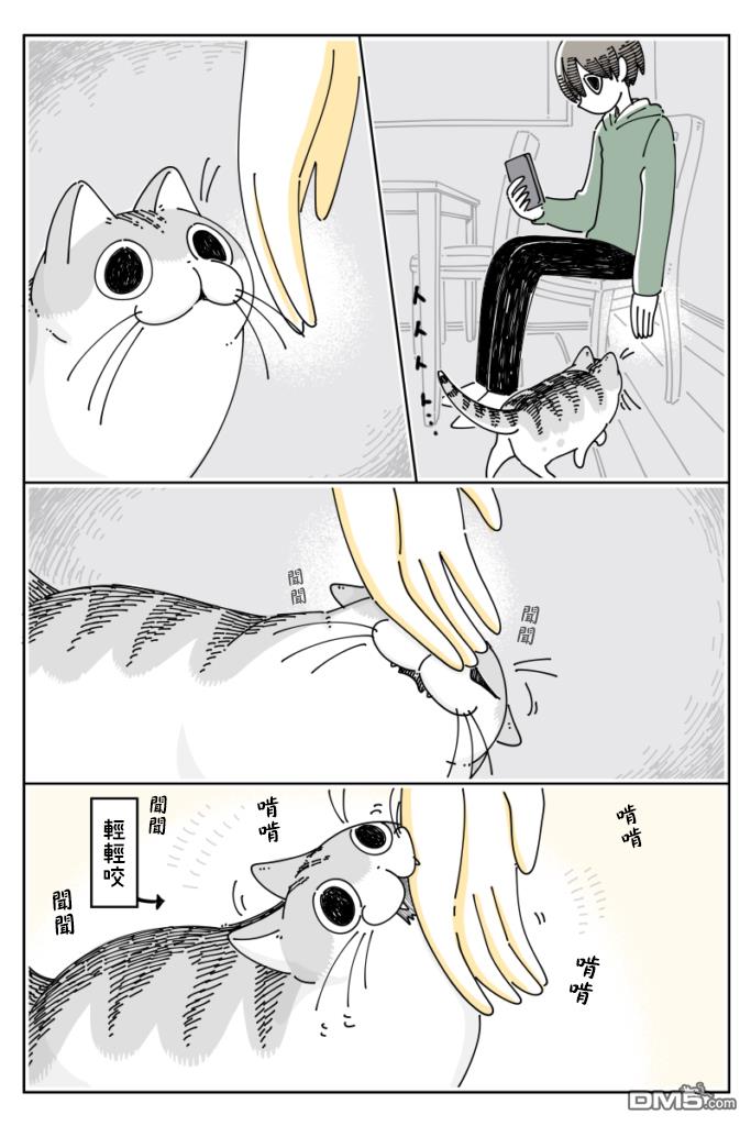 1.jpg