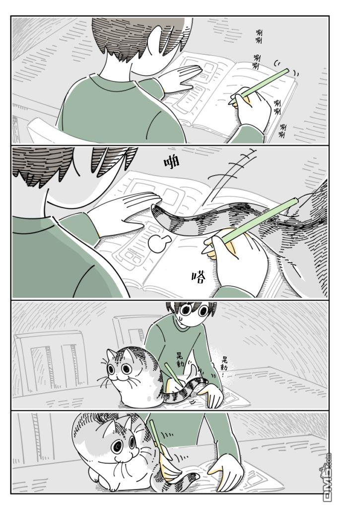 3.jpg