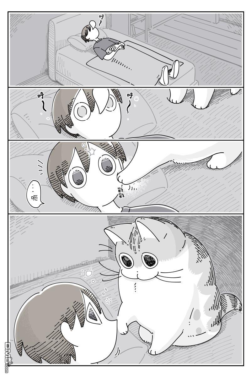 1.jpg